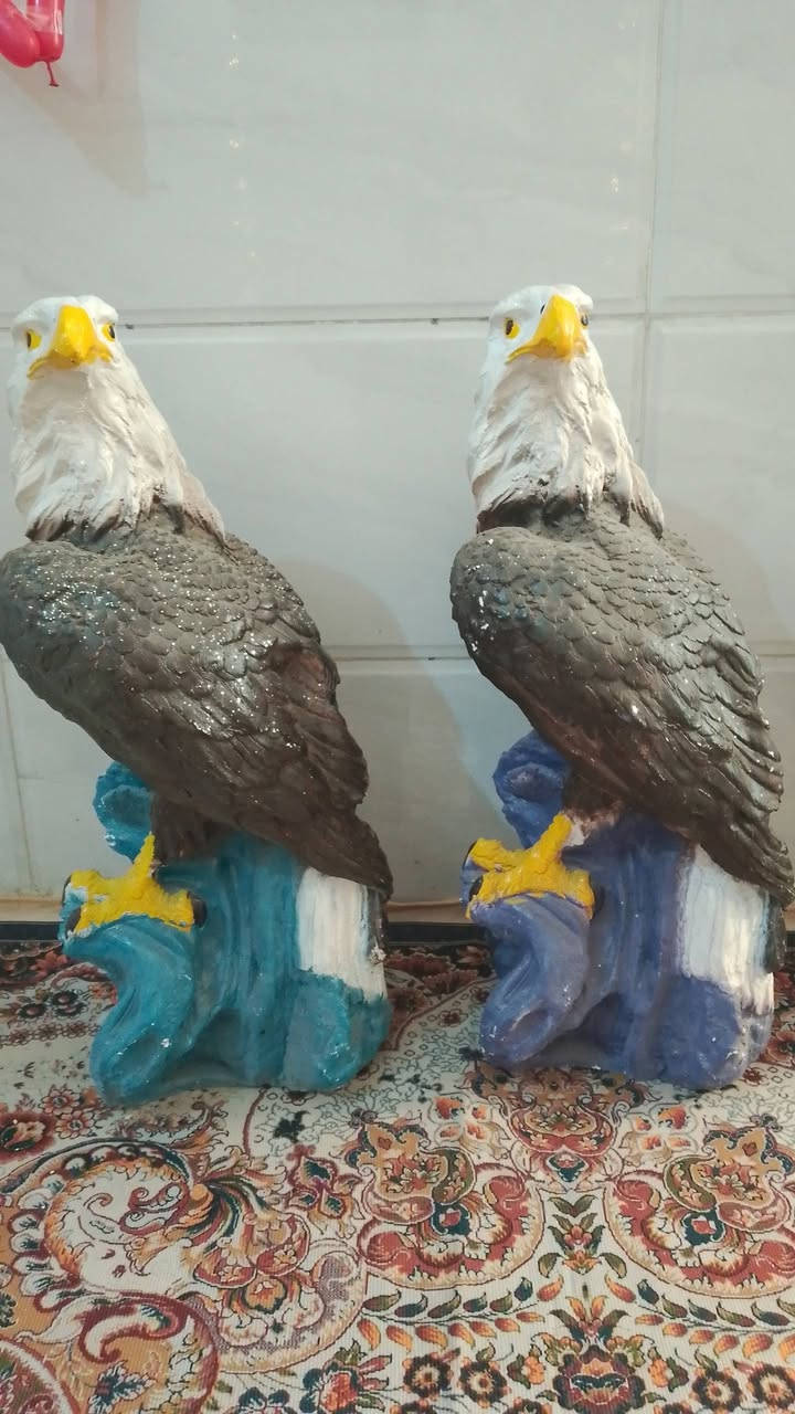 تحفيات حجم كبير سعرهن 50 الف


**إذا كنت صاحب هذا الإعلان وتريد حذفه لأي سبب، رجاءا أرسل رسالة إلى الدعم الفني**