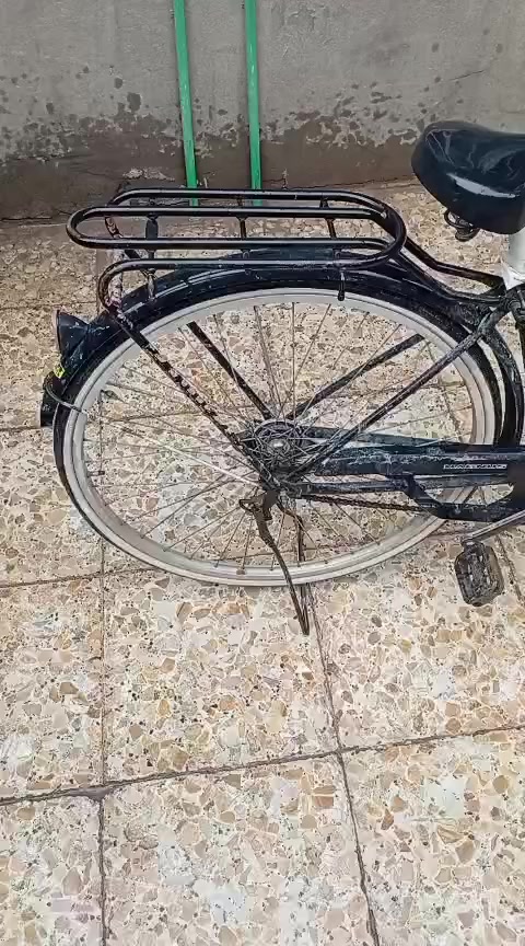 بايسكل بطه للبيع
سعره50 و بي مجال حگ الجيه

مكاني المشتل ***********
