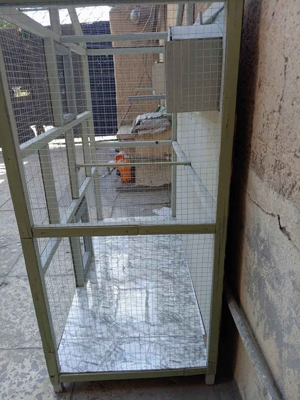 قفصص خشب جمالي سعره 15 ألف جاي اصفي البيت لكطة ميتعوض
ارتفاع 120سم
عرض متر. 
نزال 45 سم. 
الحجز عالواتساب  *********** 📝 متوفر توصيل داخل بغداد فقط
