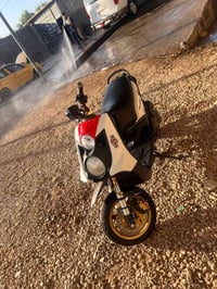 سكنس جبلي • نظيفه • مكفوله
