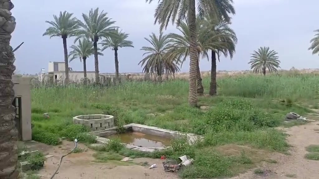 على بركة الله 

بستان دونم اللبيع تحويل موباشر 
الموقع مقبيل بستان استاذ مفيد 
بسعر مناسب لاستفسار اتصل على رقم 
***********
