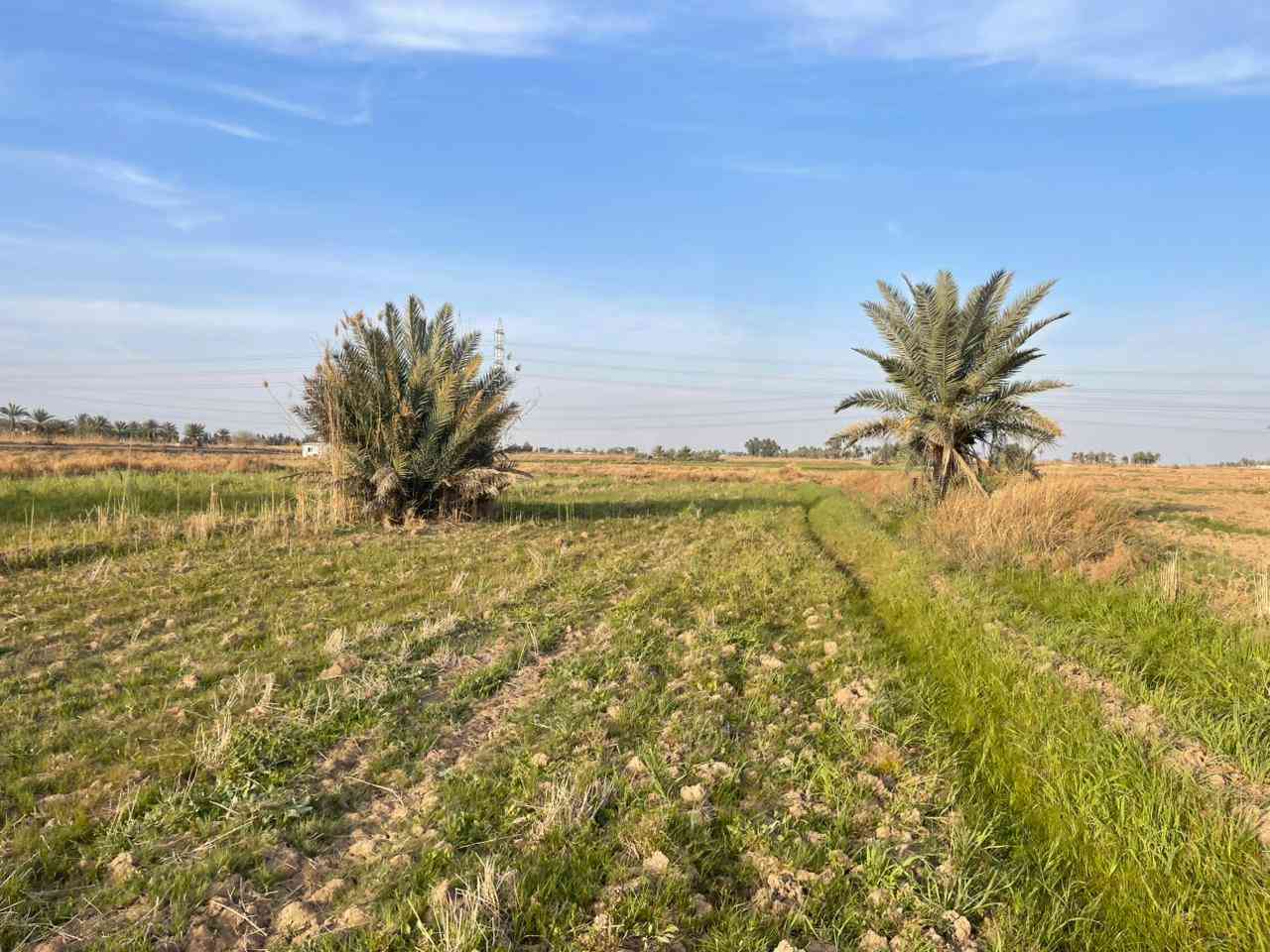 قطعة أرض للبيع....
طابو زراعي سند ٢٥ تحويل مباشر
الموقع الرمادي ناحية اليرموك تقع مابين مزرعة شيخ إحسان
والعرب قريبة من جميع الخدمات 
المساحة أربع دونم تباع حسب الطلب دونم او دونمين ثلاثة
الأرض صالحة للزراعة او اي مشروع استثماري
للسعر والاستفسار أكثر اتصال على الأرقام التالية
*********** واتساب
*********** واتساب
او مراسلة الصفحة في اي وقت نعتذر عن التأخير عن الرد في بعض الأحيان
نستقبل جميع العروض العقارية في مدينة الرمادي
ابو احمد
