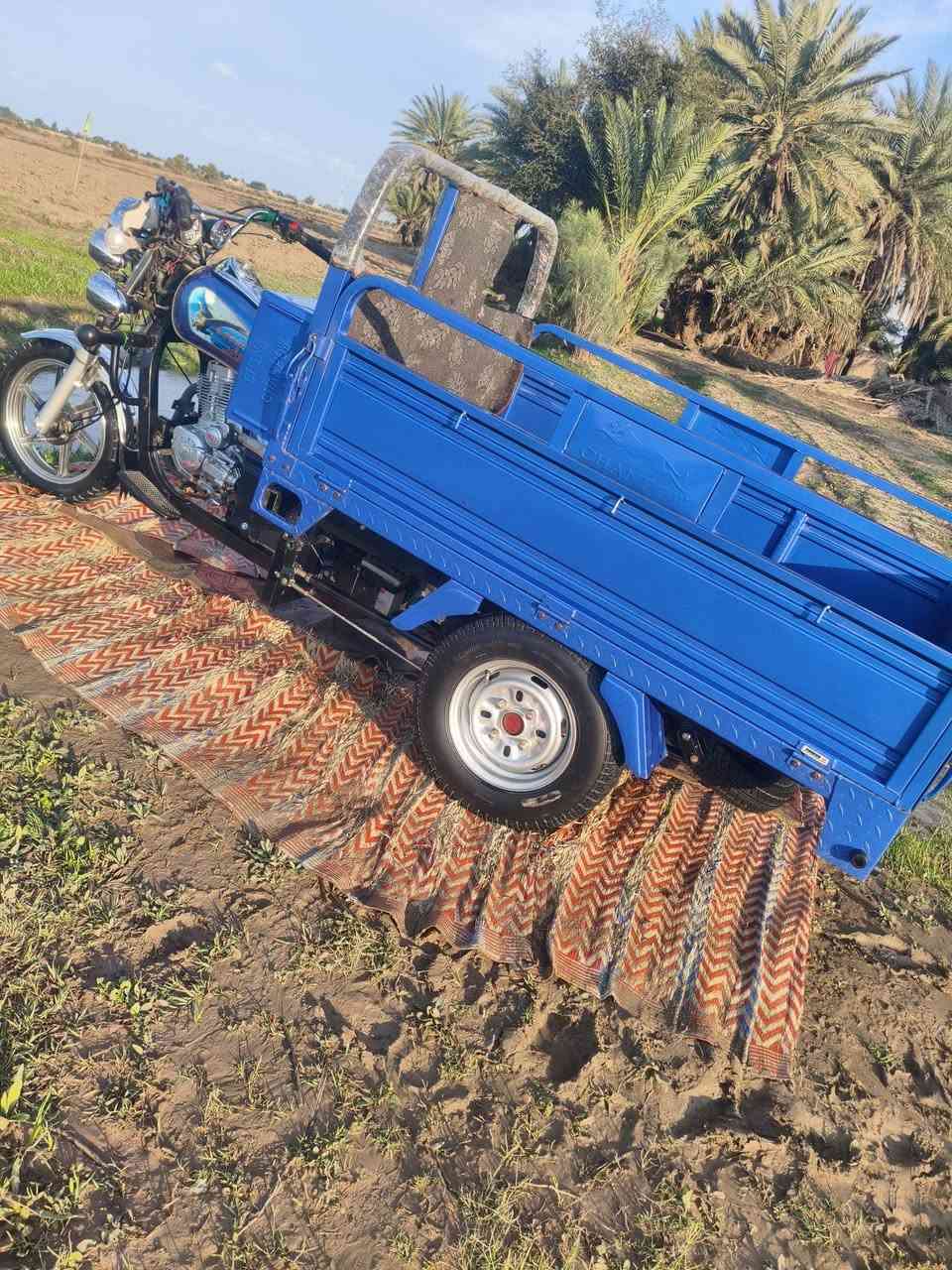 للبيع 2023الوكيل نبيل جرد العنوان ديوانيه سومر الاستفسار تصل ***********
