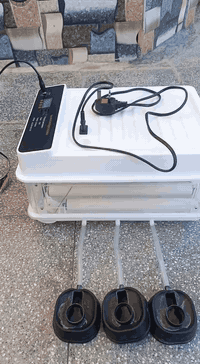 فقاسه لبيع       30 بيضه 07812349971