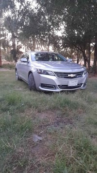 امبالا • ٢٠١٩ • رقم بابل