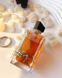 ليبرا • ايف سان لوران • أصلي