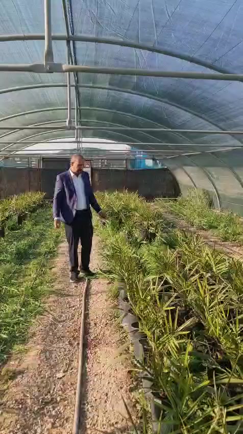 إعلان مشروع زراعة نخيل برحي 🌴

نقوم بتجهيز مشروع زراعة نخيل من فسائل صنف البرحي على مساحة 15 دونم.

نحن نوفر للإخوة الكرام:
 • فسائل عالية النقاوة 🌱
 • خالية من الأمراض ✅
 • أفضل الأسعار المنافسة الفعلية 

📌 لمزيد من التفاصيل أو الطلب، يمكنكم التواصل معنا مباشرة ***********٥
