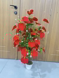 محافضات • توصيل مجاني • نجف