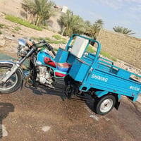 ستوته لبيع مديل 20 مكفوله ركبه وراق صولي وشاصي مكان القاسم  لحولي سعر ...