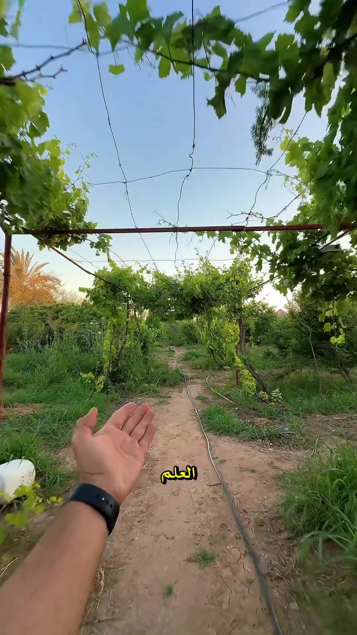 مزرعة هيل وليل
اسعار الحجوزات 
الشفت الصباحي ٢٢٥
الشفت المسائي ٢٧٥
ايام العطل خميس وجمعة وسبت ٣٠٠ 
الموقع بلد


**إذا كنت صاحب هذا الإعلان وتريد حذفه لأي سبب، رجاءا أرسل رسالة إلى الدعم الفني**
