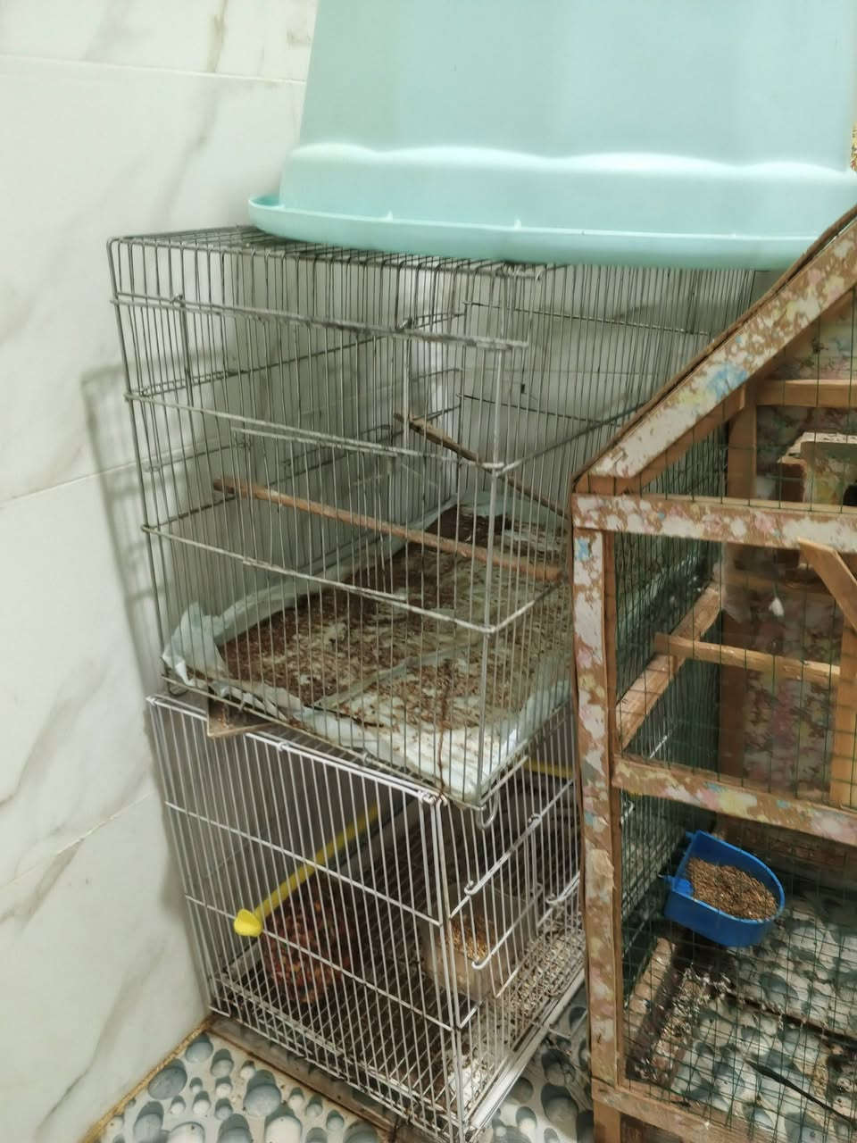 بايسكل شحن وماطورات ماء واقفاص للبيع تواصل ***********
