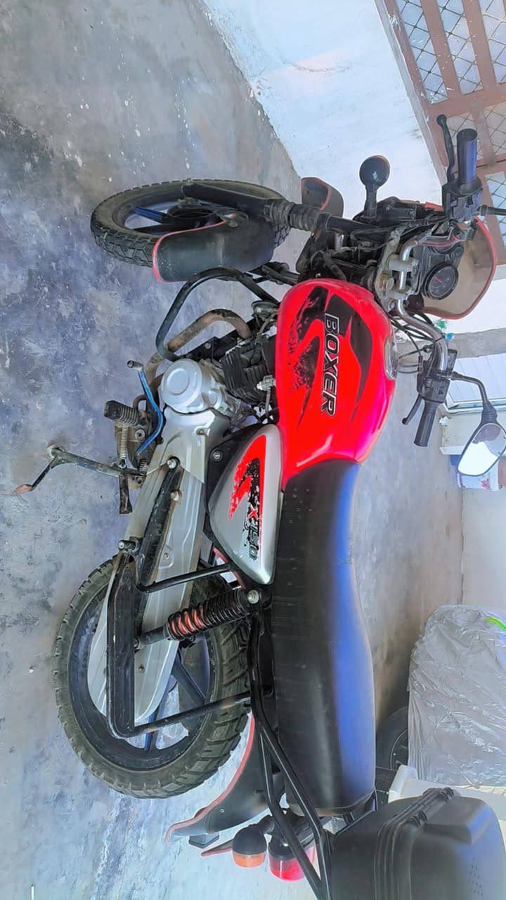 السلام عليكم مكلف بالنشر بوكسر جبلي موديل2020/12/12 بس يرادلها غسله السعر 950 المكان ابو غريب الشيحه رقم صاحب الدراجه *********** اتصال +واتساب
