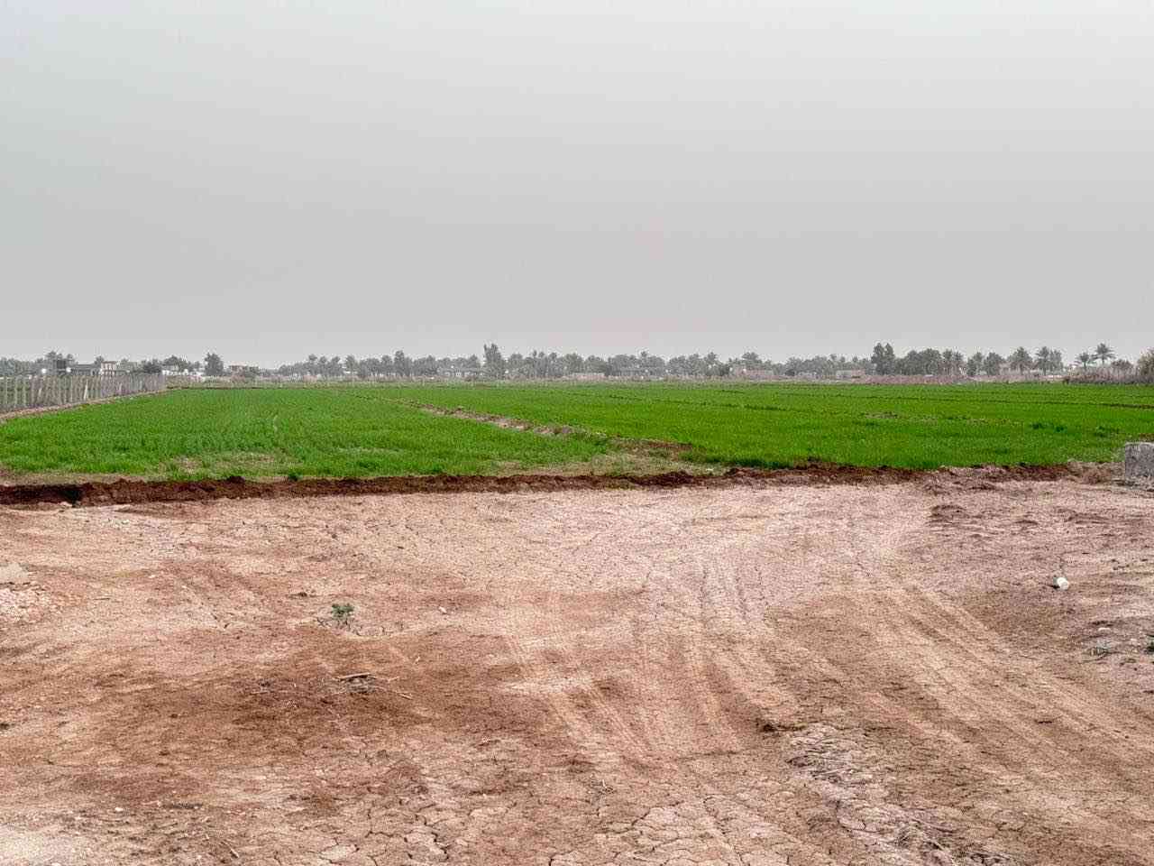 قطعه ارض 7 دونم طابو زراعي سند 25 

العنوان  بابل حله ورديه خارج منطقة البوطيف 
تبعد عن الشارع العام ٣٥٠ متر 

علما ان هذا الطريق حاصل على موافقة تبليط 
 يتوفر فيها كهرباء ومياه + ماء اساله ويوجد في داخلها  بناء مقطع ع شكل غرف 
وجميع الارض محاطه BRC  وارض خصبه صالحه للزراعه 
يمكن استغلالها ك مزارع ترفيهيه او سياحيه او سكن سعر الدونم 28 تحويل مباشر بأسم المشتري  
*********** اتصال او واتساب حلة, بابل
