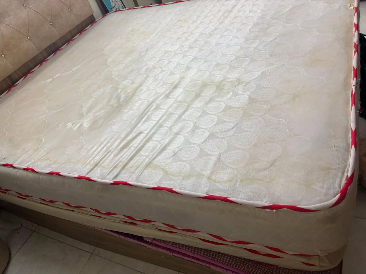للبيع


**إذا كنت صاحب هذا الإعلان وتريد حذفه لأي سبب، رجاءا أرسل رسالة إلى الدعم الفني**