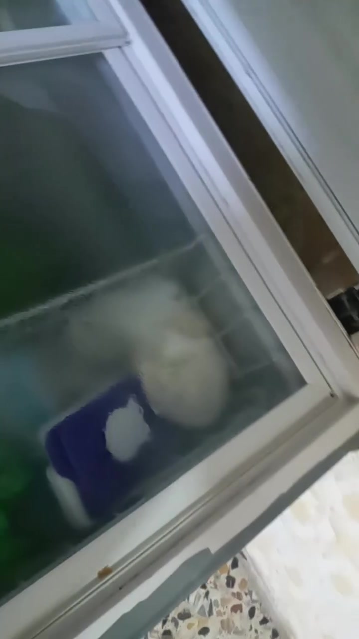 السلام عليكم ورحمة الله وبركاته مجمده للبيع ب١٢٥ الخطيب الزراعي


**إذا كنت صاحب هذا الإعلان وتريد حذفه لأي سبب، رجاءا أرسل رسالة إلى الدعم الفني**