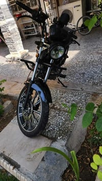 شاينك • ٢٠٢٣ • ماماشيه