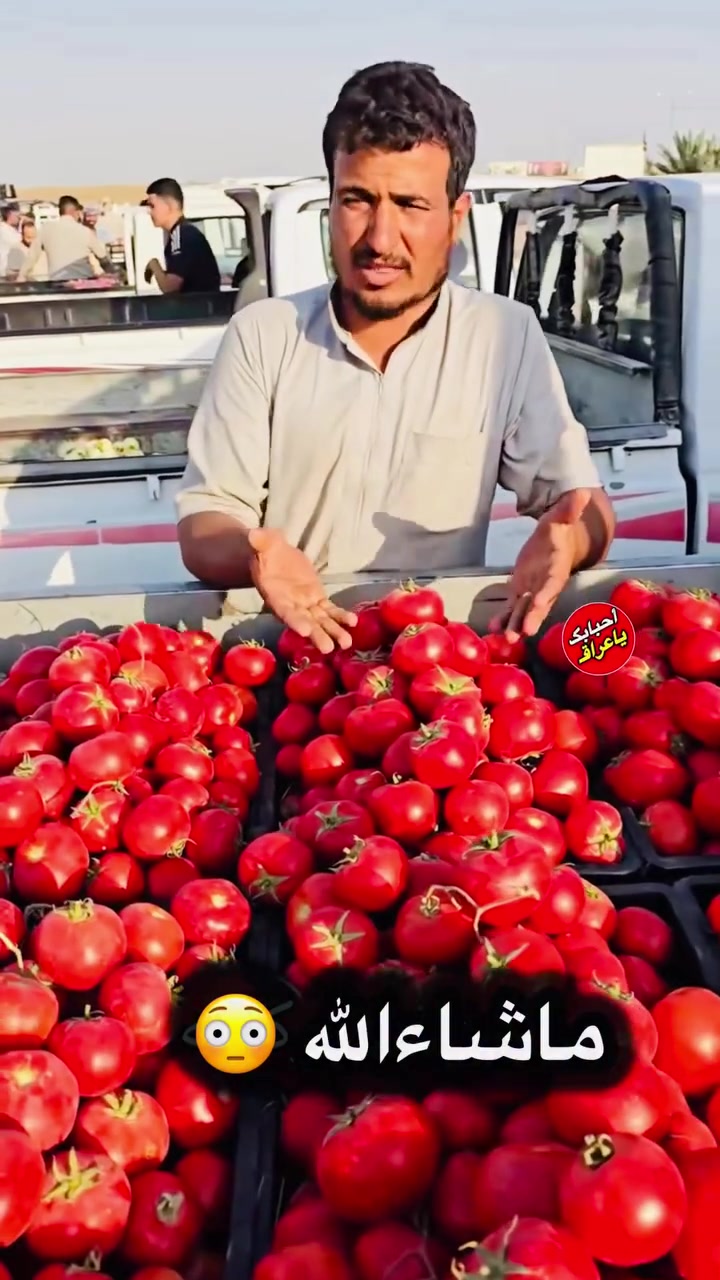 صندوق طماطة 30 كيلو بـ4000 دينار الله يديم الرخص على العراقيين 🥰


**إذا كنت صاحب هذا الإعلان وتريد حذفه لأي سبب، رجاءا أرسل رسالة إلى الدعم الفني**