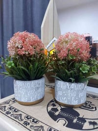 تحفيات • مكاني الشعب • حي البساتين