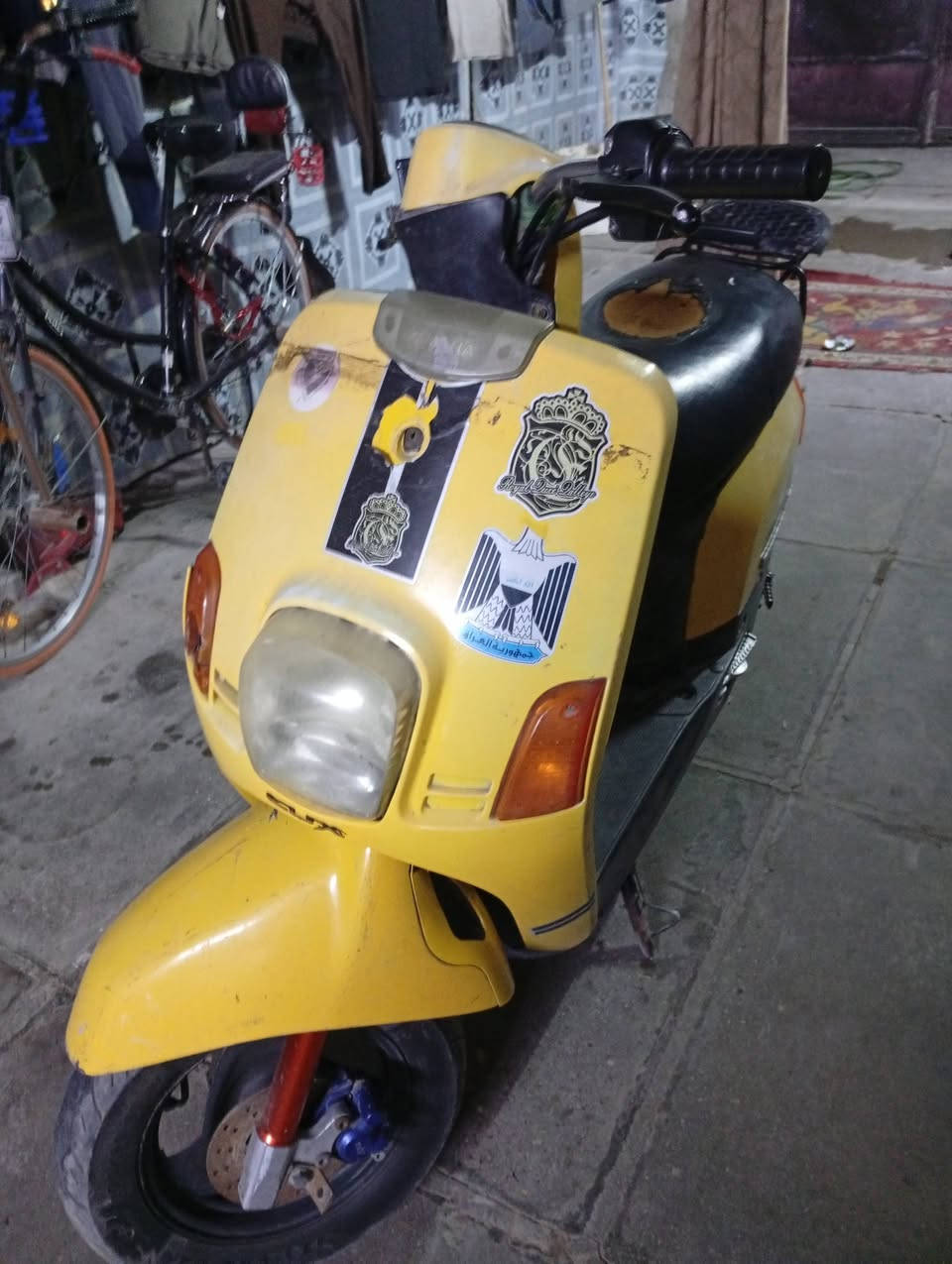 دراج بوليسي لبيع ***********
