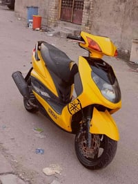 سكنس فحل كوري للبيع مكفوله اذا مادين عليها سابنه مرجوعه غراض كله رياضي...