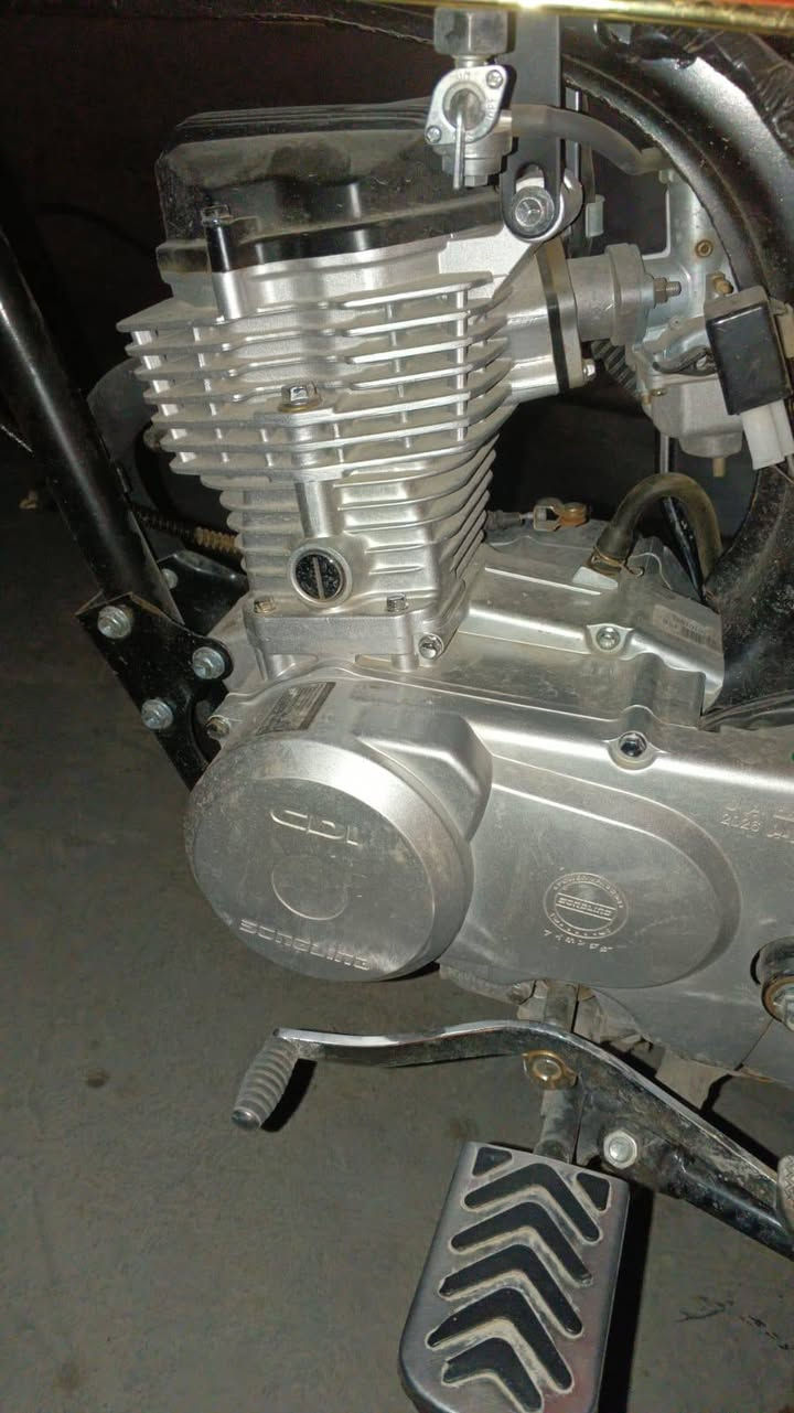 سلام عليكم من رخصت الدئمن دراجه تايكر موديل 25 20 دراجه كامله مكمله كفاله دراجه جديده اوراق كامله سعره 880 وبيه مجال بصيط اي ستفسار اتصل عل رقم *********** ملاحضه مكلف بل نشر مكلف بل نشر اتصل عله رقم
