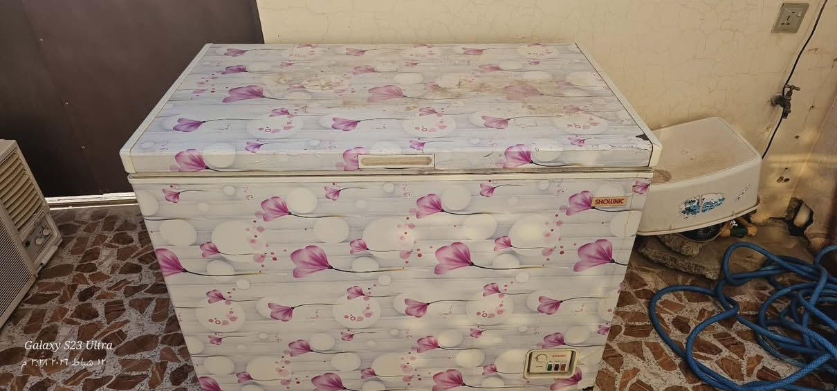 مجمده ٦٠ الف شغاله عالفحص


**إذا كنت صاحب هذا الإعلان وتريد حذفه لأي سبب، رجاءا أرسل رسالة إلى الدعم الفني**