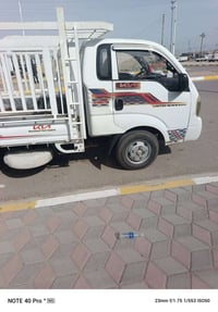 كيه حمل فحل 2013 بغداد 07821112609