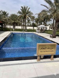 مرحباً بكم في قلب الطبيعة.. مرحباً بكم في [مـزرعـة الـنـعـام]  من بين ...