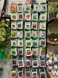 شتلات نباتات • توصيل لكل العراق