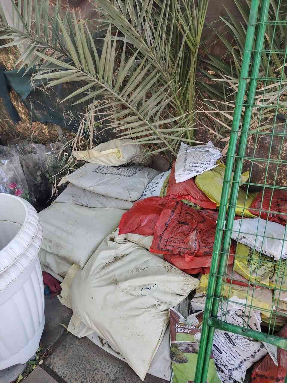 على بركة الله تعالى /يعلن مشتل بركات الزهراء عن وصول مجموعة مميزة من الأشجار والورود واشجار المثمرة واشجار الزينة وكذلك يتوفر لدينا ثيل هندي درجة اولى  زورونا لتجدو كل ما هو جديد ونادر العنوان الديوانية الشافعية منطقة المعمل للإستفسار الاتصال على الأرقام التالية ***********او ***********او مراسلتنا على الواتساب
