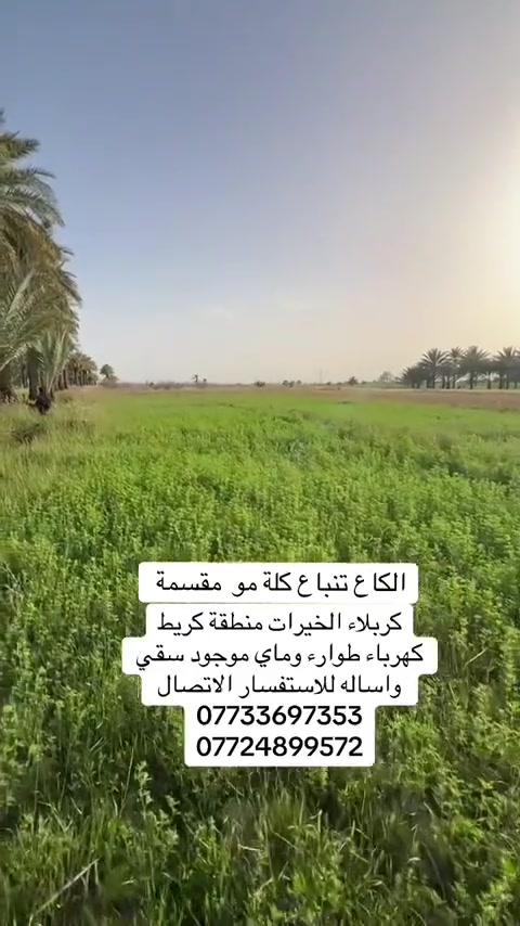السلام عليكم أرض زراعية طابو سند 25 للبيع المساحة #3دوانم 
 منطقة كريط الايشان قضاء الخيرات للاستفسار الاتصال ***********3
