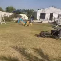 مزرعة • المدائن البوچامل • شفتات صباح ومساء