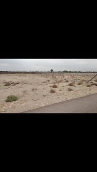 طابو زراعي • ٢٠٠م • سيف سعد