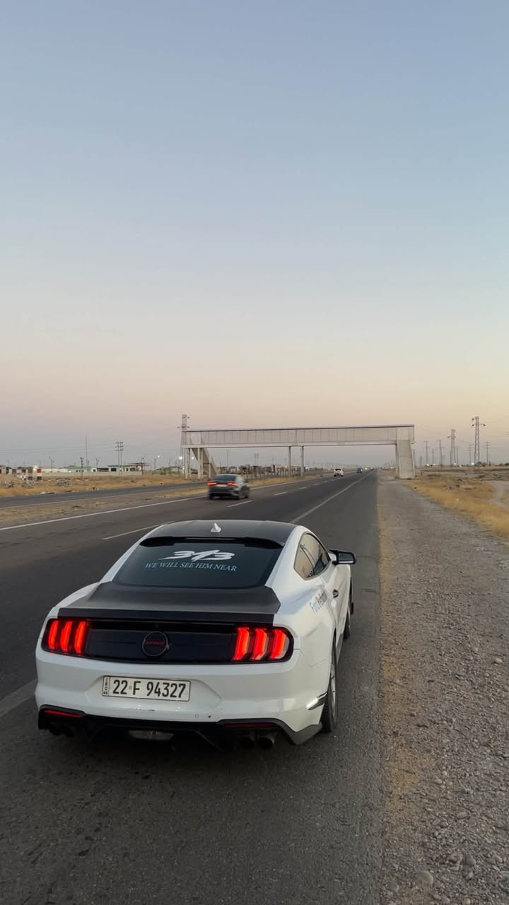 السلام عليكم
موستنك 2022 
نسخه cs لتقارونه بلعاديات 
ماشيه 28الف ميلل 
فوللل للأخير
حادثها جاملخ وبنيد بدون دواخل بشرط
فول مواصفات للاخير
كشنات خزن
ستيرن تدفئه
كشنات تدفئه تبريد
دجتل 
اكتف
دمام 
رادارات
كشنات تدفئه تبريد
شنو ببالك بمواصفات الموستنك موجوده
مختمه cs بكل مكان
عليها داون بايب واكس بايب سويته يم علي الوادي
عليها برمجه يم فور برذر
السعر 200$ وبين مجال
***********
