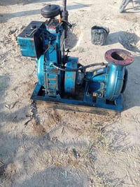 07818012837