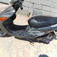 دولفين • ياباني • سلف وهندر