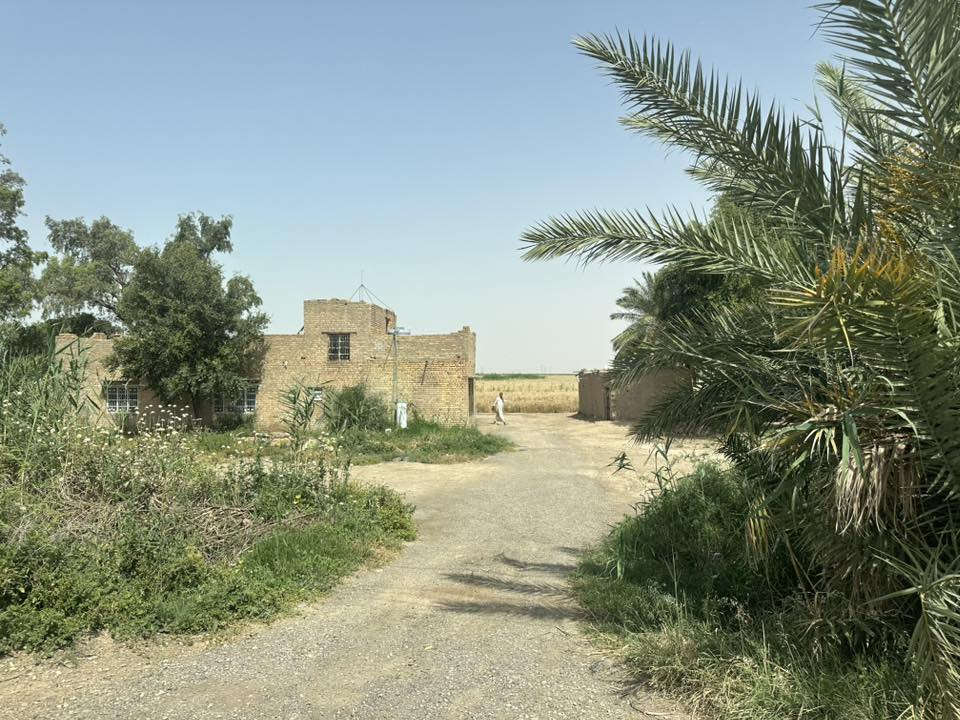 السلام عليكم ارض زراعيه للبيع المساحه 100 دونم طابو سند 25 تقع على ضفاف نهر دجله بين ناحيه شيخ سعد والكوت. 20 كيلو عن مركز مدينة الكوت ماطور خاص بل ارض مع بيت  متوفر اساله مدارس مركز صحي باقي تفاصيل الاتصال على الرقم 
***********
