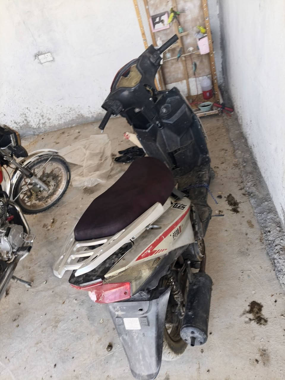 ماطور ماكس للبيع ٢٠٢١محرك تايكر يرهم نقد وقصاد ومده السعر٥٠٠


**إذا كنت صاحب هذا الإعلان وتريد حذفه لأي سبب، رجاءا أرسل رسالة إلى الدعم الفني**
