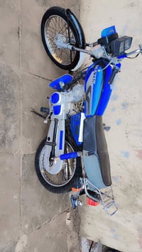 موديل 2016 • كوت شارع النفط • أوراق أصلية