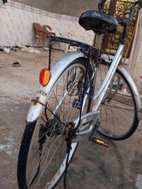 باسكل • مقاس 27 • ديالى