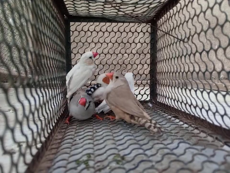 سلام عليكم فناجس للبيع مكان بغداد


**إذا كنت صاحب هذا الإعلان وتريد حذفه لأي سبب، رجاءا أرسل رسالة إلى الدعم الفني**