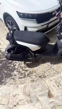 سكنس جبلي • مستخدمة • شهر واحد