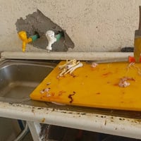 قراض دجاج • كربلاء