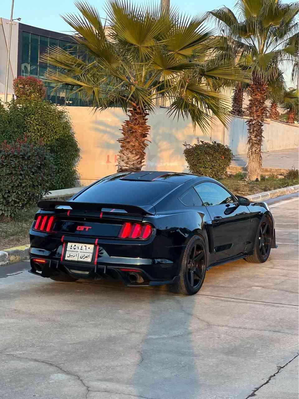 السلام عليكم 
بيع او مراوس
موستنك ستة سلندر 
‏Mustang 2016 V6
كير محرك اكسل شرط
صبغ بوند محدث واربع قطع ابيع حزام 
ايرباك دشبول مطاك 
ماشيه١٠٧ ميل
صدر امامي خلفي جديد
تبريد كهربائيات شرط
الاضافات
دعاميه شيلبي
لحية شيلبي
سبويلر جيتي 
كزوز روش دبات
دفيوزر 
داخل كاربون فايبر كامل حتى قعده مال تبريد كاربون فايبر
اناره داخليه الوان
 ويل ٢٠ فويسن يخبل
تايرات نظيفه
لايتات ليد احمر 
 كوشن كهربايي
كزوز رياضي فصله و طلاقات
سياره شرط مابيها مصرف نهائيه
رقم اربيل 
تحويل شرط باسم شركة 
مكان سياره دهوك
سعر 128$ وبي مجال بسيط 
للبيع او مراوس شمالي فقط
‏Watsapp *********** أربيل, العراق
