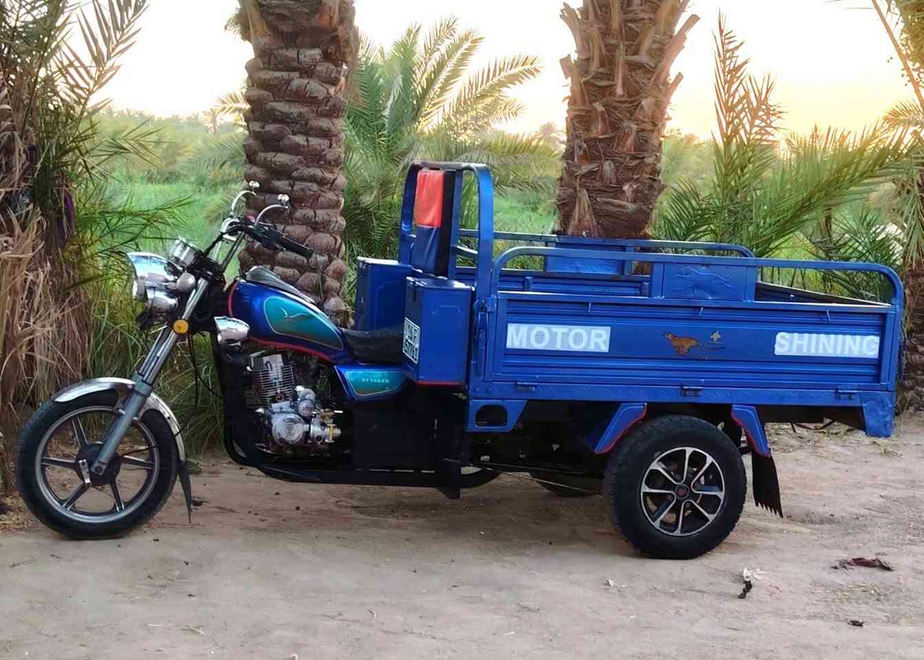 ستوته جمره فحل مديل23 طالعه بل 24 رقم انكليزي بسمنه سنويه مجدده 2030 مكفوله كفاله عامه حته من لشخط ستوته مال جنايه مامتعوبه محرك 24مامفتوح جديد  ستوته امربله وكامله  كهربائيات كله شغاله
السعر(2250) وبيه مجال الشراي يتصل واني خادم مكان نجف مناذره 
***********

