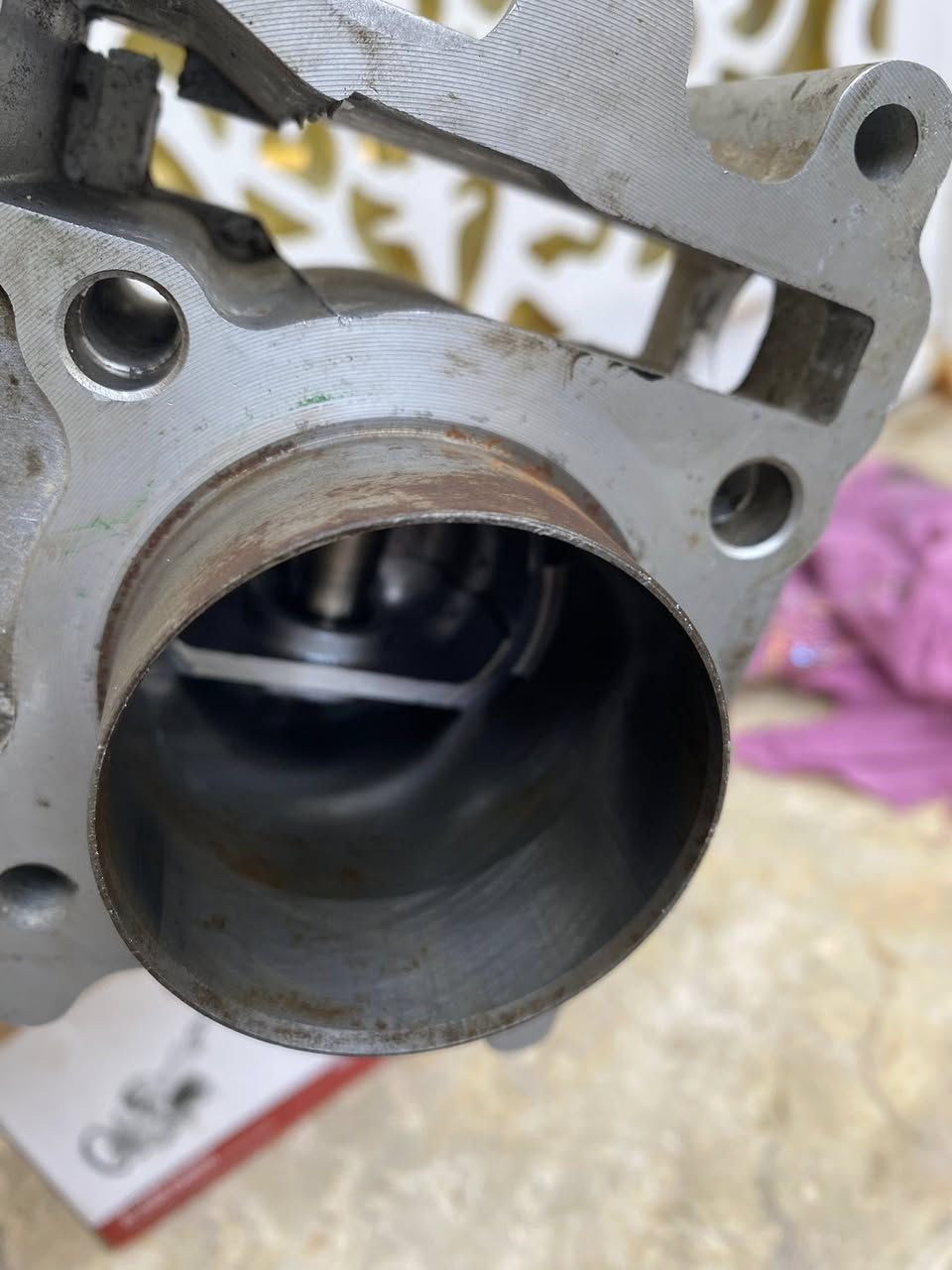 كور ماكس نضيف كلش سيله مالته نضيفه كلش بوشه 55 مشيفه شديته يومين وفتحته اشخوط الشركه بعده بيه ابيعلك الغراض عشرط شغل


**إذا كنت صاحب هذا الإعلان وتريد حذفه لأي سبب، رجاءا أرسل رسالة إلى الدعم الفني**