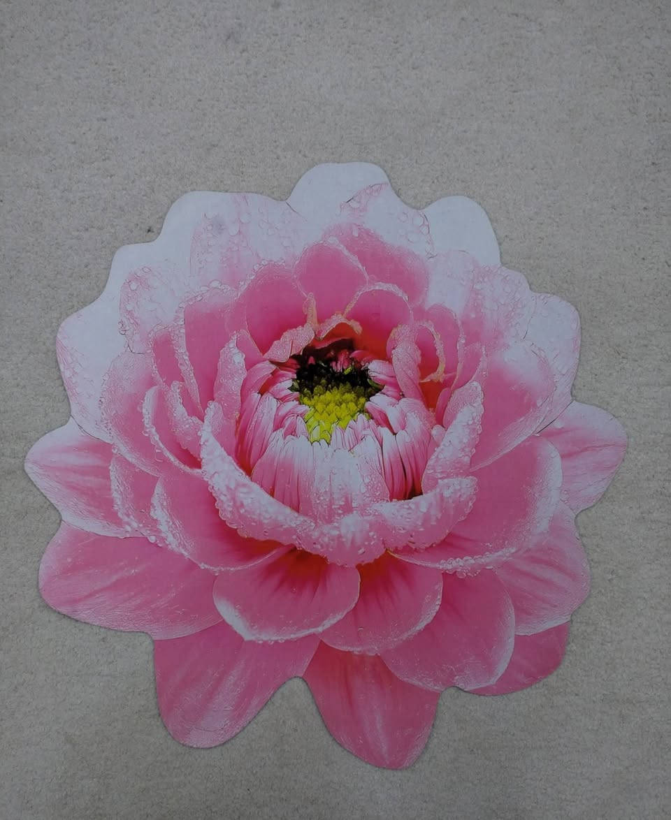 #عرض_خاص🔥 🔥 🔥

#الدواسة_الوردة_الترند  3D

#أرضية_جلد_ضد_تسرب_الماء ومانع تزحلق درجة أولى وشرط الفحص عند الاستلام

#القياس_الكبير
والصور حقيقية يعني تجي نفس الصورة بالضبط  يعني افحص يله تستلم 👍 👍

#القطعة ٣ الاف 🔥🔥 

متوفر توصيل لجميع المحافظات


**إذا كنت صاحب هذا الإعلان وتريد حذفه لأي سبب، رجاءا أرسل رسالة إلى الدعم الفني**