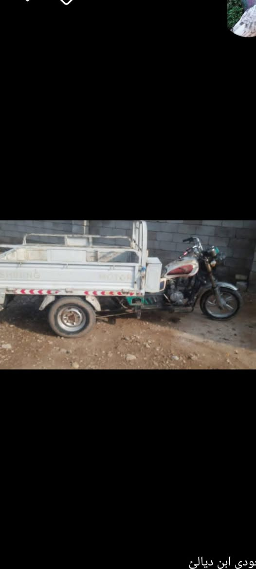 سلام عليكم شباب،ستوته،اللبيع موديل 19 وراق صوليه وليريده يجي خاص ويدلل  ***********
