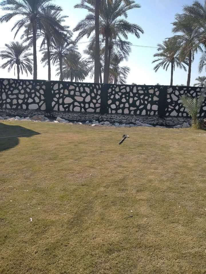 السلام عليكم
بناء حجر كرسته وعمل بأحسن دقه💜
بيوت... اسيجه..... ممرات..... سواقي......
كافه اعمال الحجر كوادر كامله للعمل في جميع المحافظات
للاستفسار الاتصال ***********
