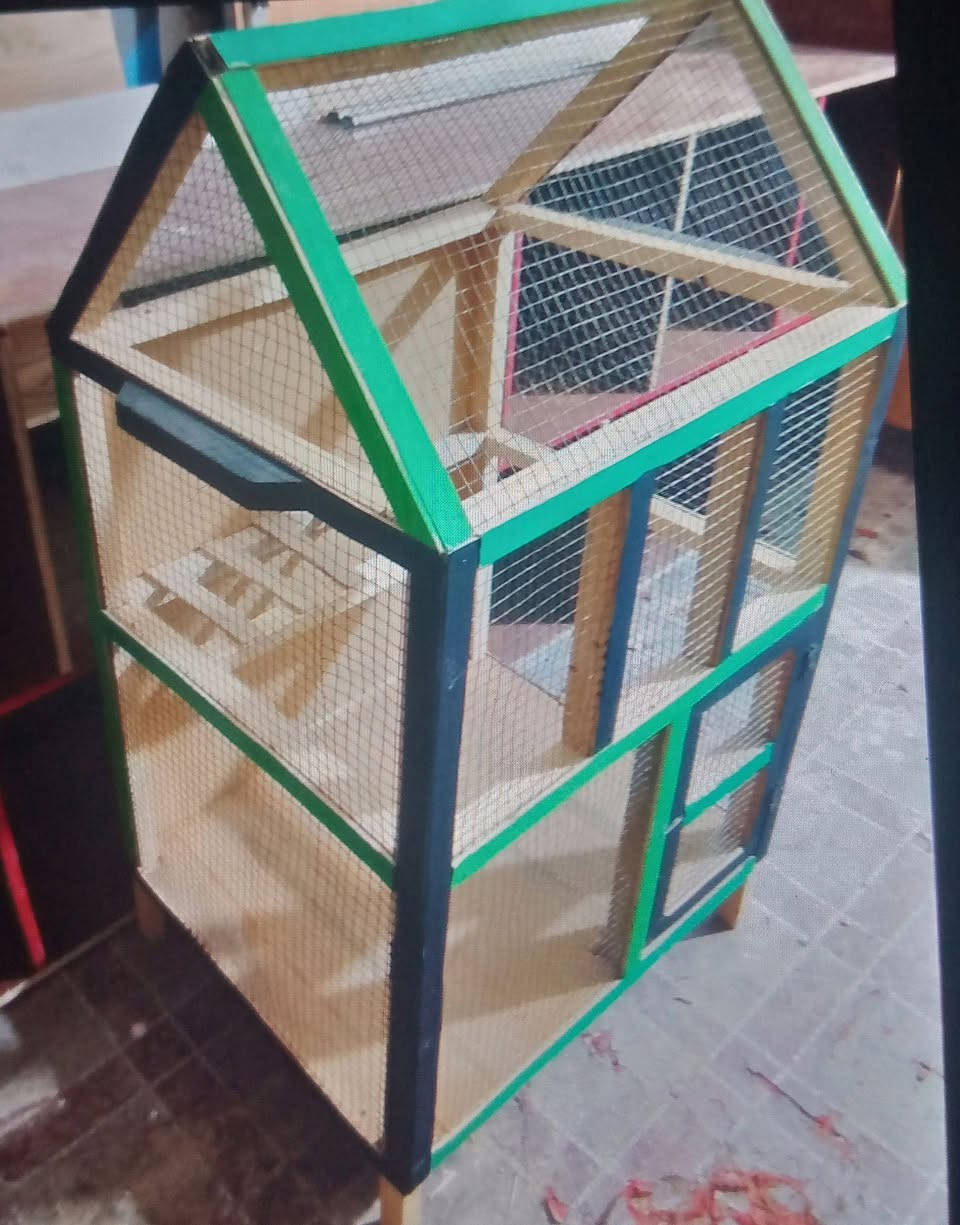 قفص للبيع


**إذا كنت صاحب هذا الإعلان وتريد حذفه لأي سبب، رجاءا أرسل رسالة إلى الدعم الفني**